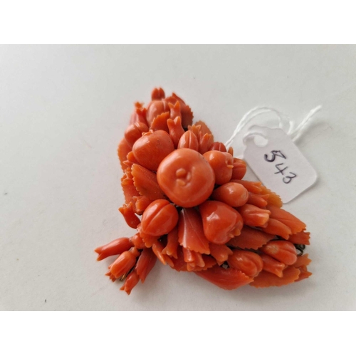 543 - A GOOD CORAL BROOCH/ PENDANT