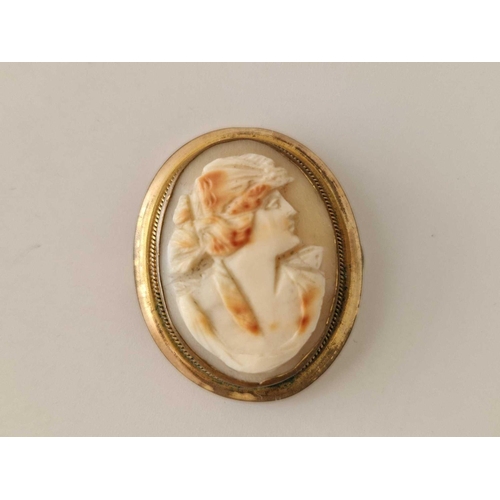 586 - Two cameo brooches