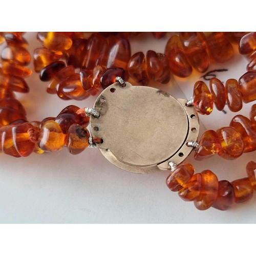 642 - An antique triple row amber choker/ necklace with gold and amber clasp, 13 inch, 35 g