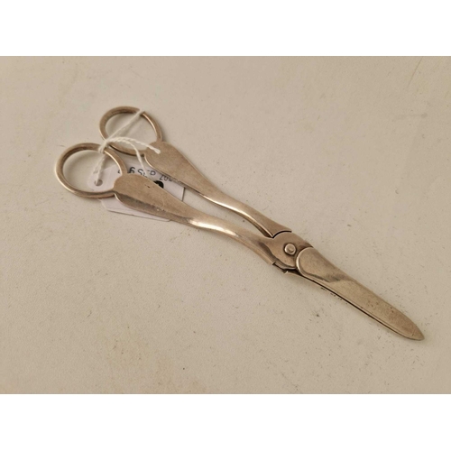 768 - Pair of Aesthetic Period Victorian Grape Scissors with Engraved Butterfly etc Birmingham 1885? by JG