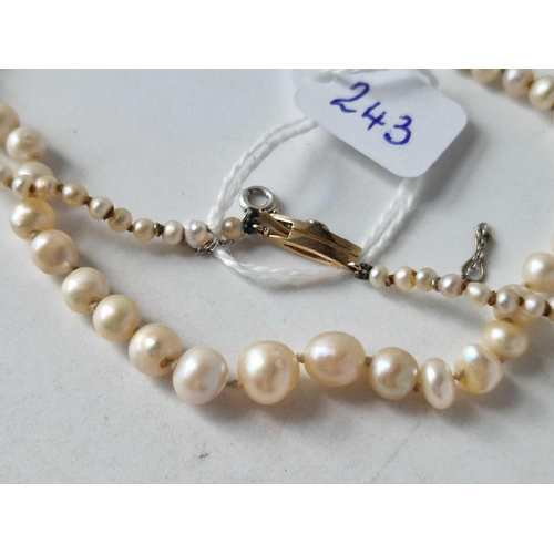 243 - VINTAGE ROW OF NATURAL REAL PEARLS SET TO CHARMING DIAMOND 18CT & PLATINUM CLASP WITH DOUBLE SAFETY ... 