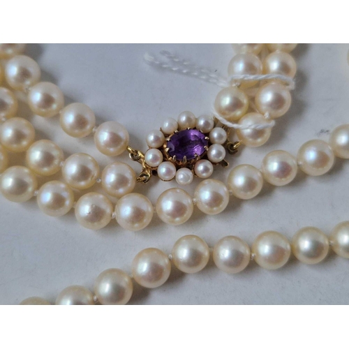 256 - A double strand of undergraduate cultured pearls with 9ct amethyst and pearl clasp 14 inch boxed