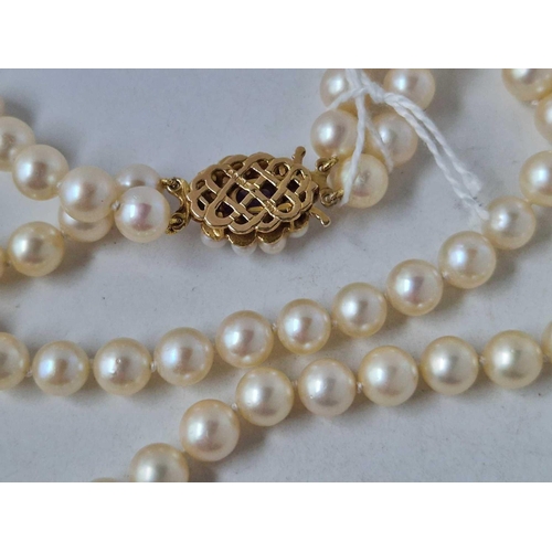 256 - A double strand of undergraduate cultured pearls with 9ct amethyst and pearl clasp 14 inch boxed