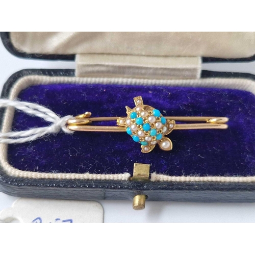 257 - A Edwardian high carat turquoise and pearl tortoise brooch in box