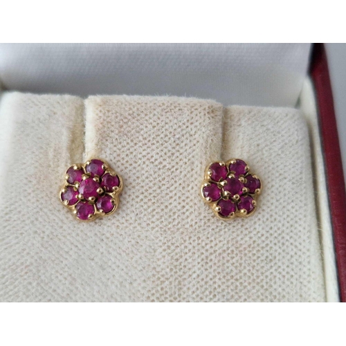 103 - A pair of ruby earrings 9ct boxed