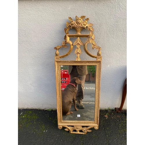 1704 - An Adams style carved gilt wood framed mirror, 51