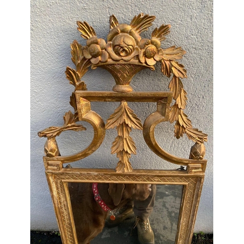 1704 - An Adams style carved gilt wood framed mirror, 51