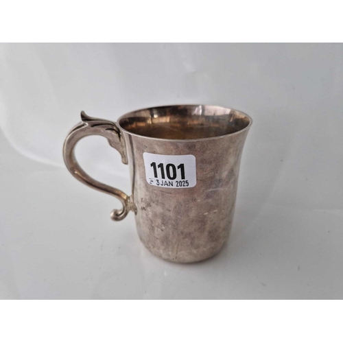 Lot 1101      