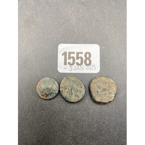 Lot 1558      