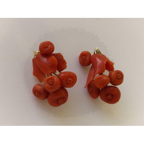 271 - A pair of antique coral berry earrings 9ct mounts