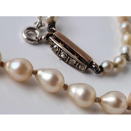 388 - A row of pearls with gold and diamond clasp 19 inch