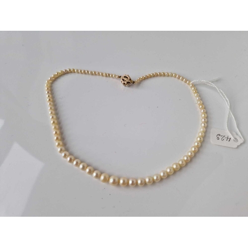 423 - A string of cultured pearls 15 inch