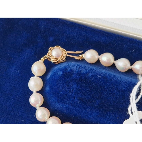 534 - A string of pearls with 9ct clasp 15 inch 33.3 gms boxed