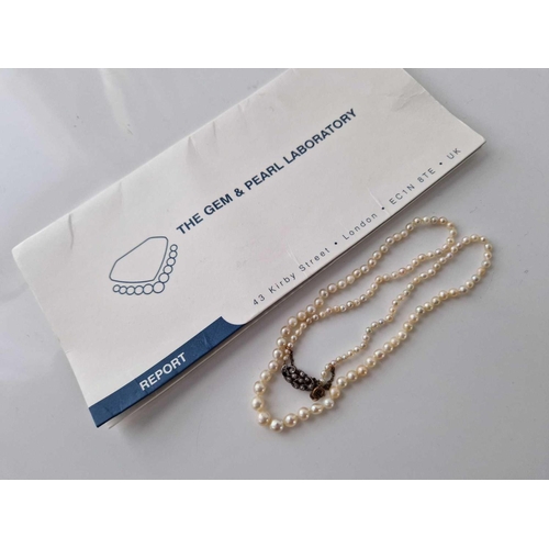 321 - A STRING OF GRADUATED NATURAL PEARLS WITH A GEM AND PEARL  LAB CERTIFICATE RE STRUNG REMOVING 6 CULT... 