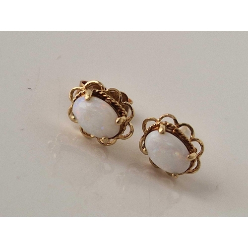 73 - A pair of opal stud earrings 9ct