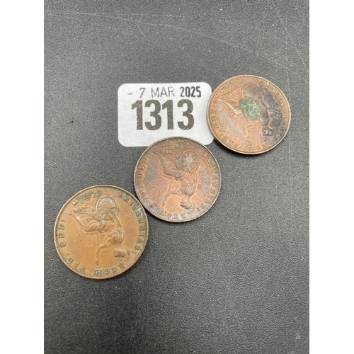 1313 - Victorian half pennies 1858/9 (3)