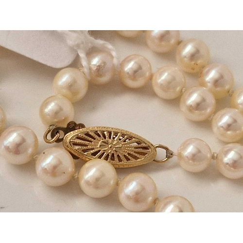 342 - A string of uniform cultured pearls each pearl 5mm diameter on a 14ct gold clasp 16.5 inch