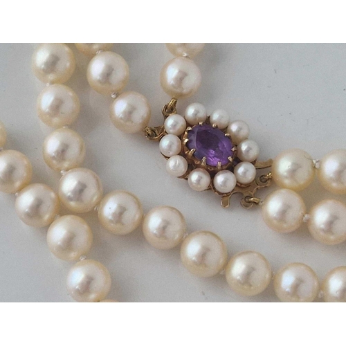 354 - A DOUBLE STRAND UNGRADUATED CULTURED PEARLS WITH 9CT AMETHYST AND PEARL CLASP 15 INCH BOXED