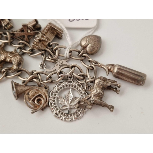 520 - A silver charm bracelet 7 inch 31 gms