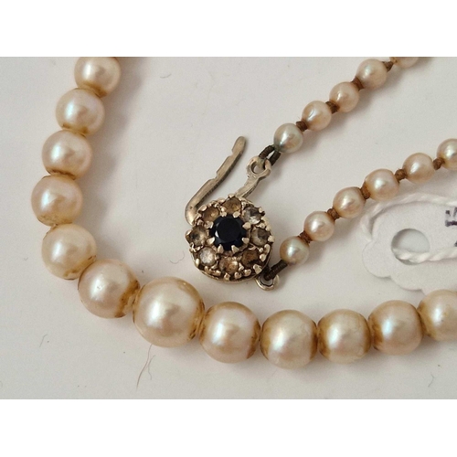 586 - A row of pearls with 9ct clasp 14 inch