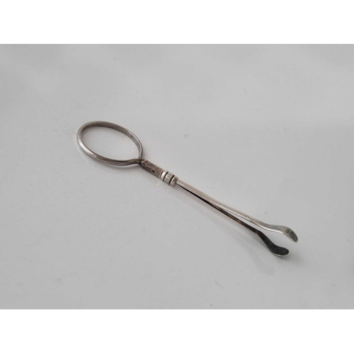 829 - A pair of tweezers with circular end, Birmingham by FW