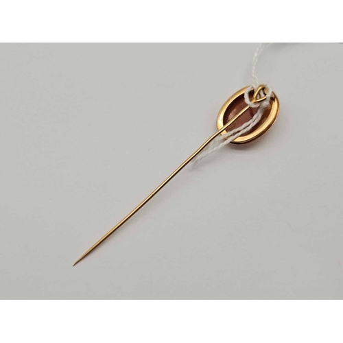 33 - A 19th century cameo stick pin 18ct gold 3.3 gms boxed