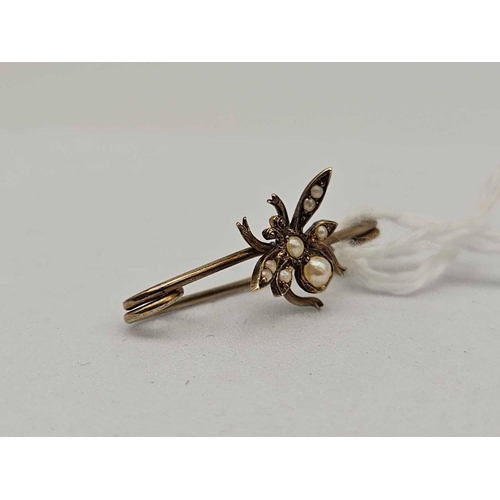12 - An antique gold pearl mounted bug brooch