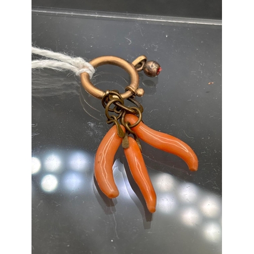 9 - A coral and gold dog-nose clip