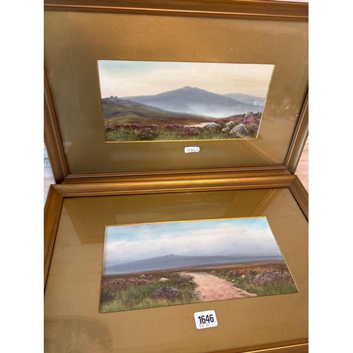 JAMES COAD - Dartmoor landscapes 6
