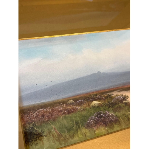 JAMES COAD - Dartmoor landscapes 6