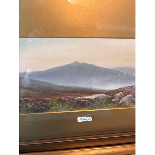 JAMES COAD - Dartmoor landscapes 6