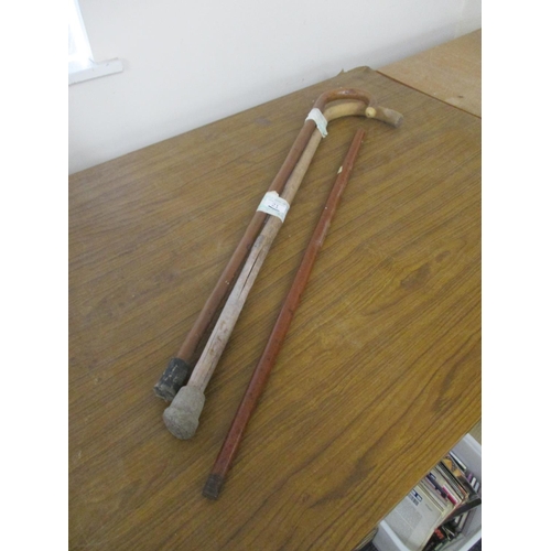 21 - WALKING STICKS (3)