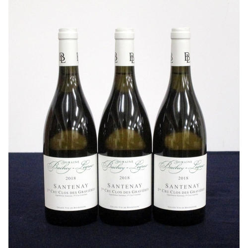 162 - 3 bts Santenay 1er Cru Clos des Gravières 2018 Dom Bachey-Legros