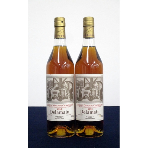 337 - 2 70-cl bts Delamain Grand Champagne Cognac 1995 landed 1997, bottled 2013