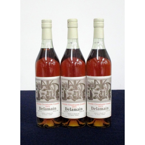 464 - 3 70-cl bts Delamain Grande Champagne Cognac 1973, 40% landed 1974, bottled 1996