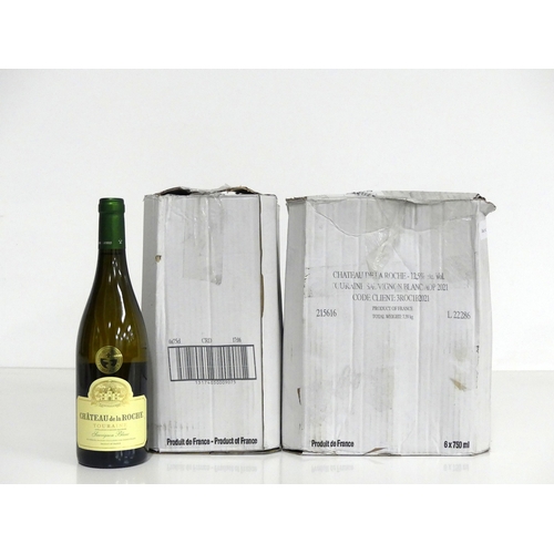 971 - V 12 bts Ch. de la Roche Touraine Sauvignon Blanc  2021 oc (2 x 6)