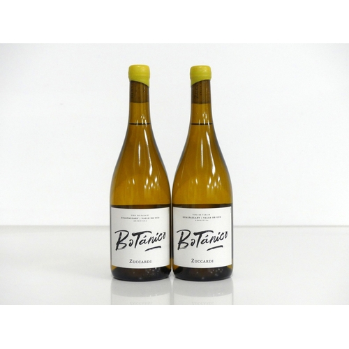 286 - 2 bts Zuccardi Botanico 2021 Gualtallary, Valle de Uco  OT
