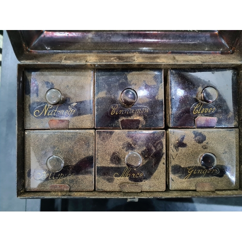 255 - 19th century tin spice box with individual boxes of spices to include nutmeg, cinnamon, cloves, ging... 