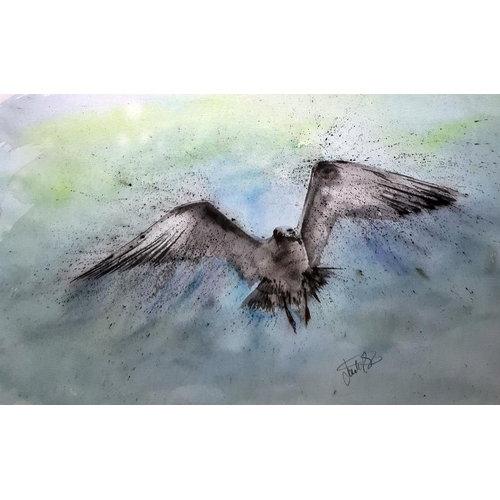 414A - Unattributed
 Watercolour
 Bird in flight
 Signed lower left indistinctly
 36cm x 57cm 
 and a colou... 