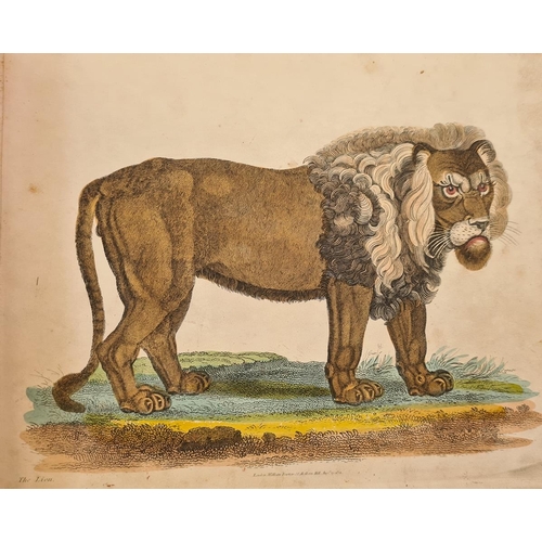 41 - After William Darton
 Colour engraved plates of exotic, domestic and other animals to include the ca... 