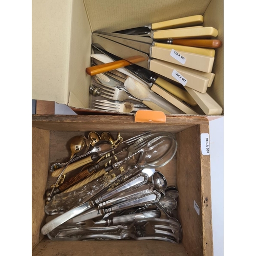 270 - Assorted stainless steel flatware with ivorine type handles and assorted plated ware (2 boxes)