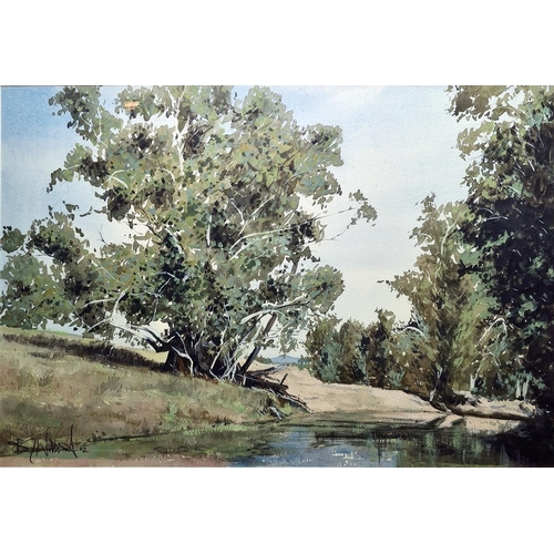 493 - Watercolour drawing
 Woodland pool, signed indistinctly 'B With...' and dated 02, 35.5cm x 53cm