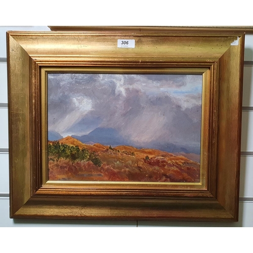 306 - Unattributed 
 Oil on canvas
 Moorland landscape under a stormy sky
 22cm x 31cm