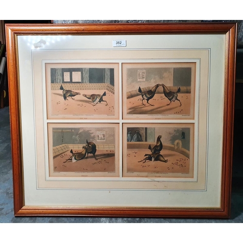 352 - After Henry Alken
 Four coloured engravings 
 Four stages of a cock fight, framed as one, 32cm x 41c... 