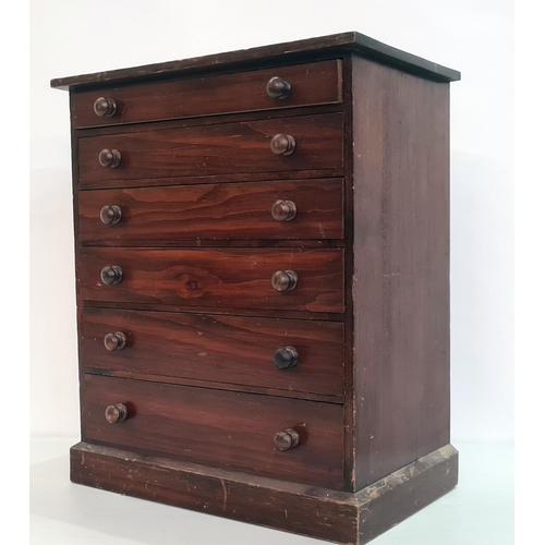 56 - 19th century stained pine collector's chest of six drawers, to plinth base, 38cm x 46cm