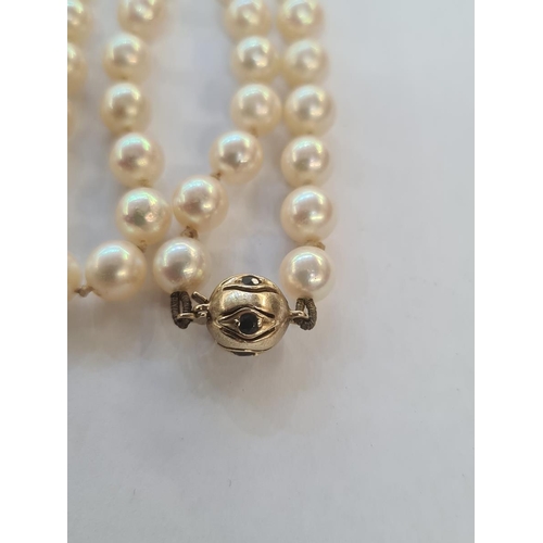 567 - String of cultured pearls with gold-coloured metal and sapphire ball clasp