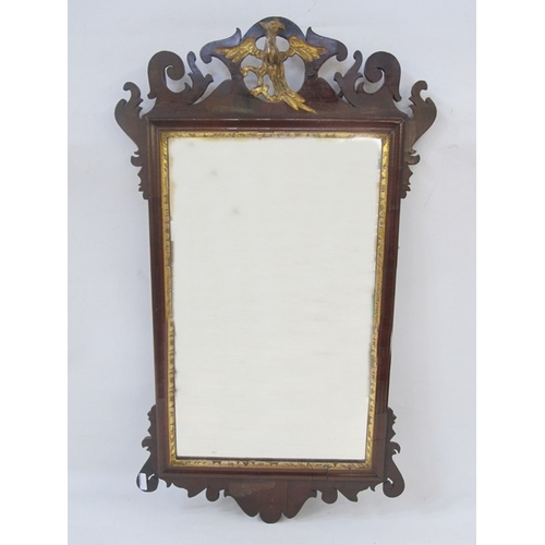 55A - Chippendale-style mahogany and gilt wall mirror, the pierced scroll pediment with gilt bird decorati... 