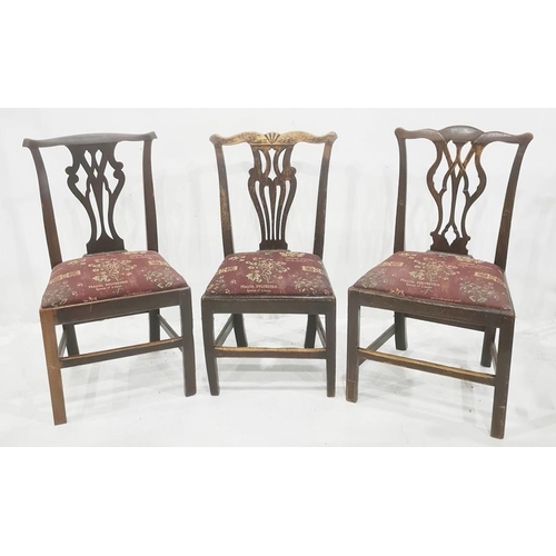 1116 - Three Chippendale-style oak dining chairs with pierced vase-shaped backs (3)