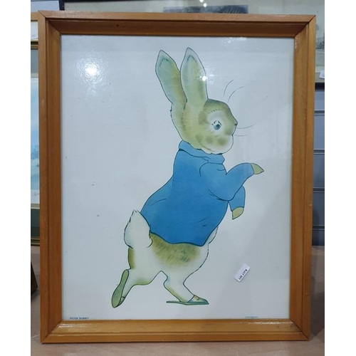 371 - Assorted prints, mirrors to include print of Peter Rabbit, botanical studies, etc (1 box)