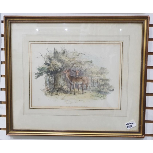 388 - Two coloured lithographs
 Deer, published by S & J Fuller at their Sporting Gallery, 34 Rathbone Pla... 